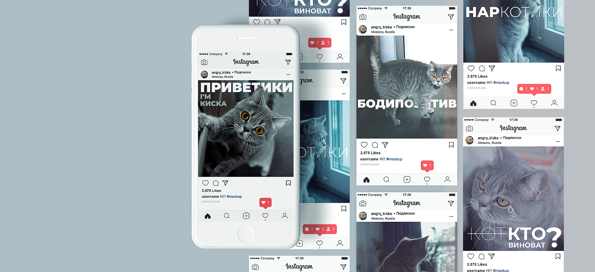 Оформление постов для аккаунта @angry_kiska в Инстаграм